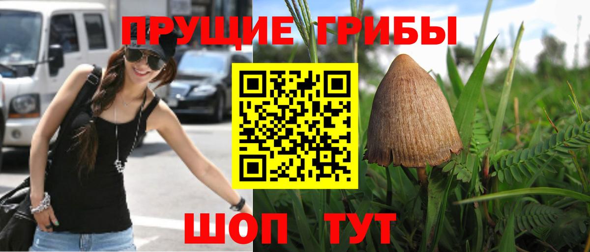 Галлюциногенные грибы мицелий Владивосток