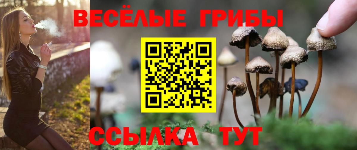 Псилоцибиновые грибы Cubensis  Вход с VPN  Владивосток 